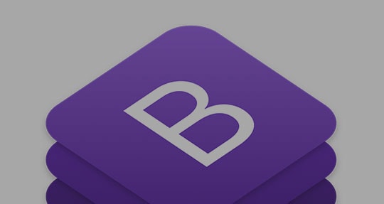 Bootstrap
